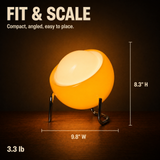 Table Lamp Glass 2700K | Contemporary