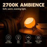 Table Lamp Glass 2700K | Contemporary